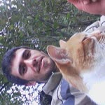Selim