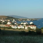 Tolga