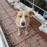 Emrah