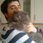 Ertan