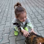 Emel