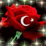 Talha