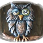 Tolga