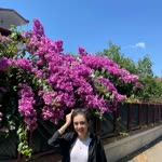 Derya