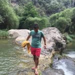 Veysel
