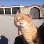 Melike