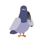 Cankuş