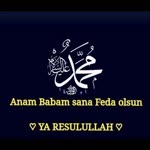 Sedat