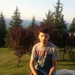 Şahin
