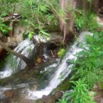 Veysel
