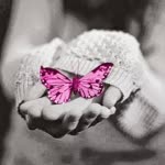Emine