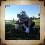Yigit
