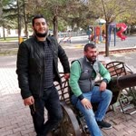 Doğan