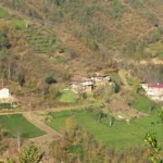 Gökhan