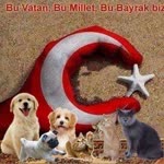 Yakup