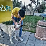 Mehmet