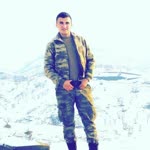 Vedat