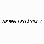 Ebru