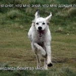 Серж
