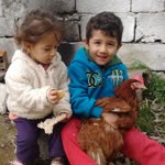 Umut