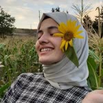Sibel