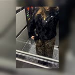 Elanur