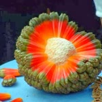 Halil