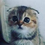Myu