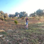 Begüm
