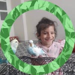 Veysel