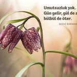 Öznur