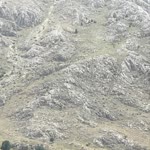Erhan