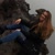 Nesra