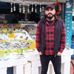 Bebek