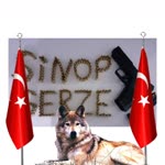 Mahmut