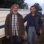 Sezgin