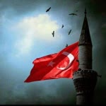 Hasan