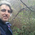 Davut