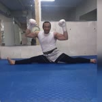 Erdal