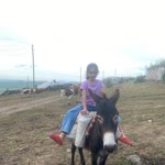 Nevzat