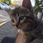 Kerem