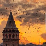 Çekan