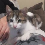 Zeynep