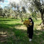 Zehra