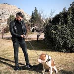 Profil fotoğrafı