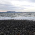 Deniz