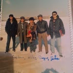 Şahin