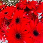Ergin
