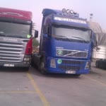 Mert