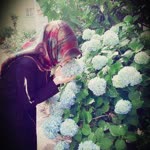 Rabia